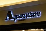 aquascutum
